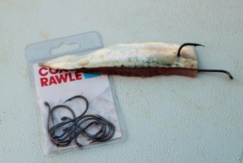 cox & Rawle Ray