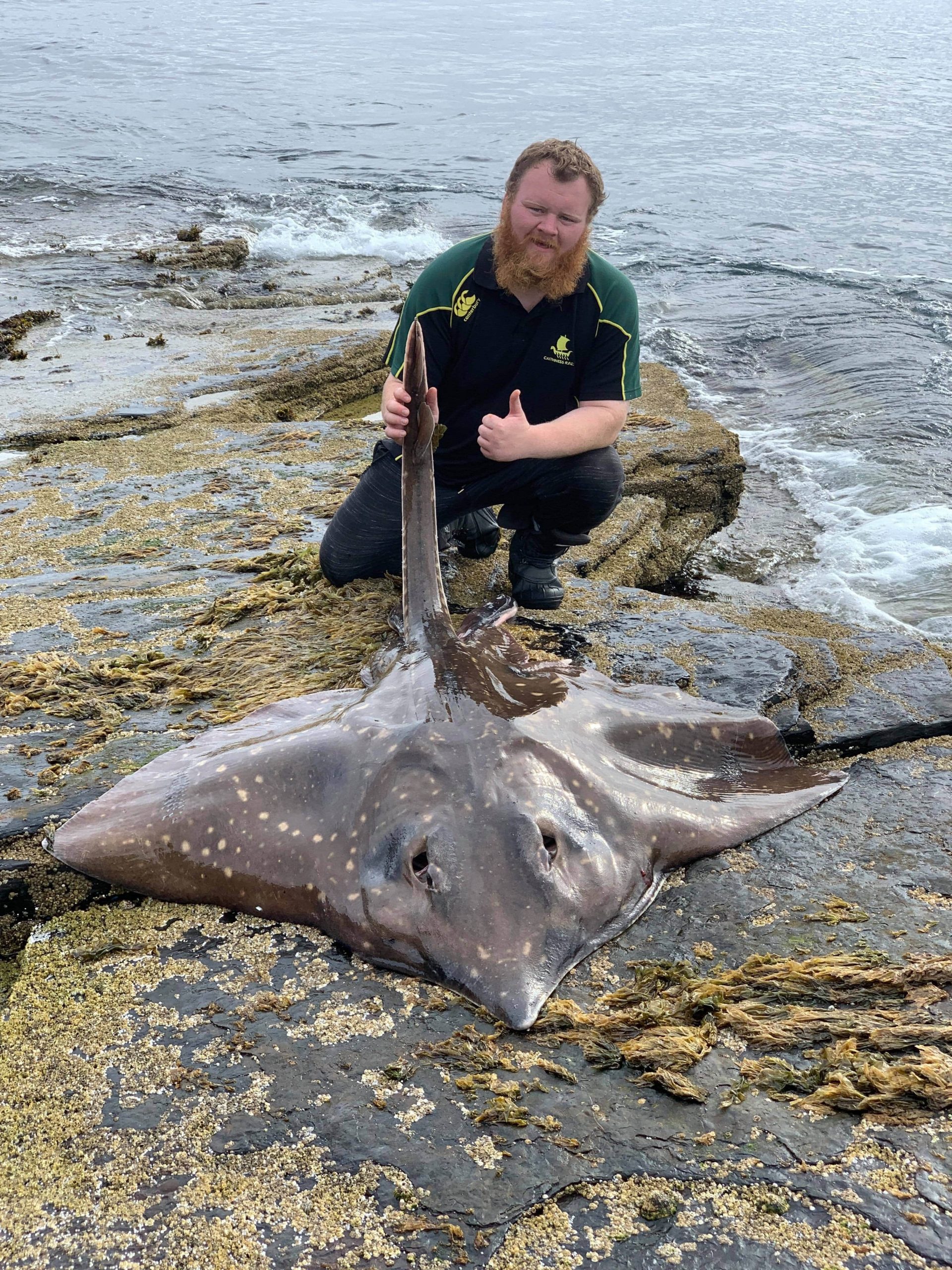 big Common Skate