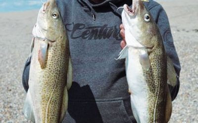 Opening the Cod Season