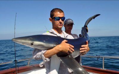 Circle Hooks, Chum and Conservation in Penzance