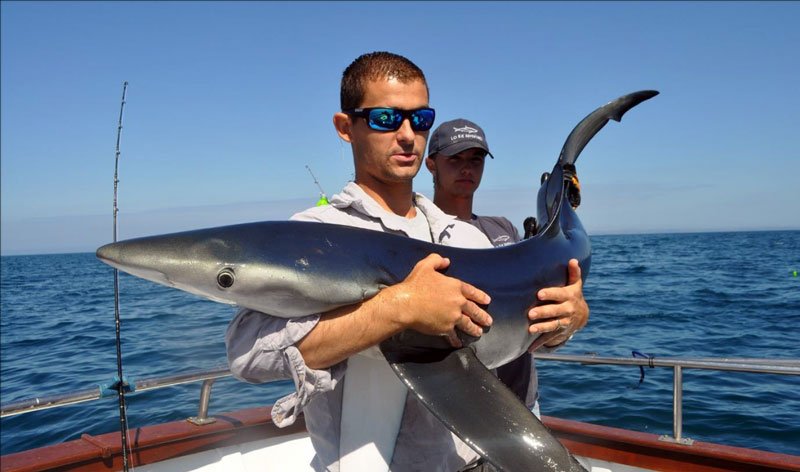 Circle Hooks, Chum and Conservation in Penzance