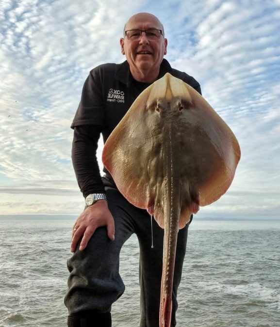 Hunting for a big blonde in Wales