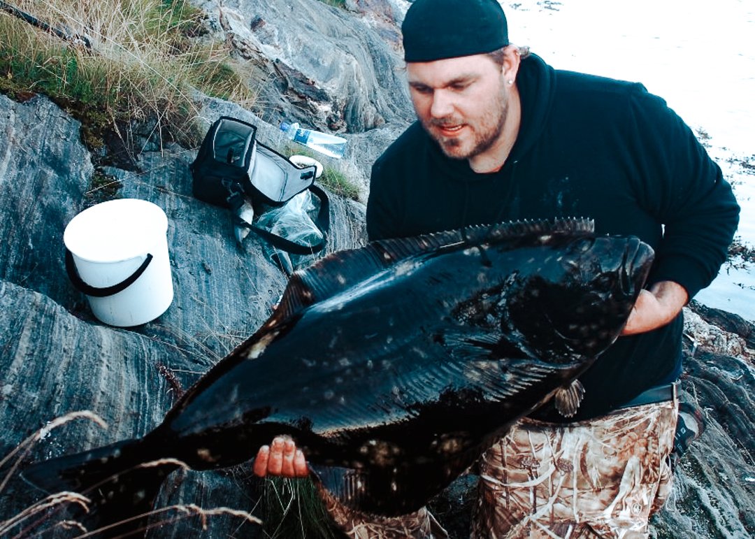halibut
