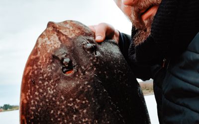 Introducing Specimen Angler Lasse Bøe
