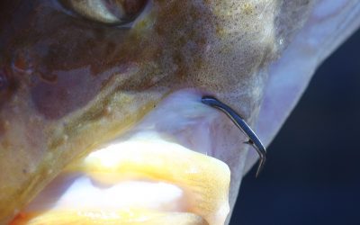 Five steps to rough ground fishing